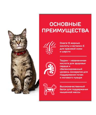 HILL'S Hills food for cats with tuna 3kg - Buy Online on GoSupps.com