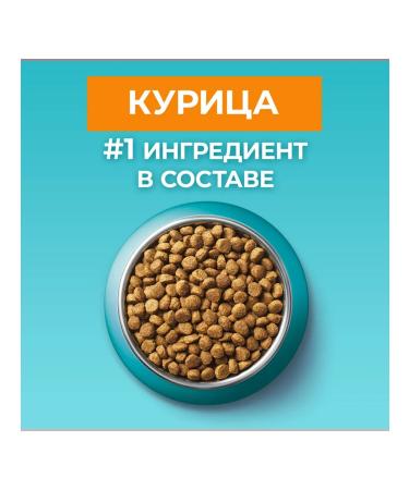 PURINA ONE Dry food for adult cats over 11 years 750 g chicken - Buy Online on GoSupps.com