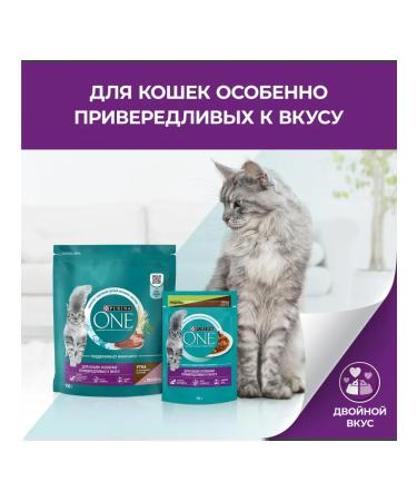 PURINA ONE Dry food for fastidious cats duck and liver 750 g - Buy Online on GoSupps.com