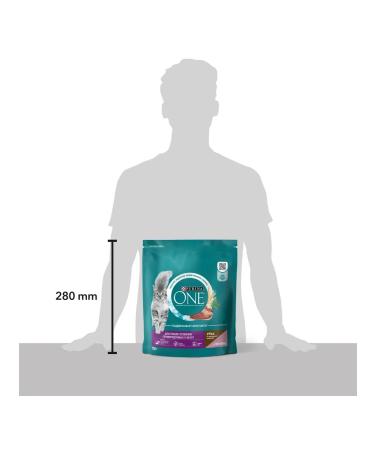 PURINA ONE Dry food for fastidious cats duck and liver 750 g - Buy Online on GoSupps.com