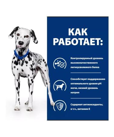 HILL'S Hills UD Urinary Care Dog food at ICD 4 kg - Buy Online on GoSupps.com