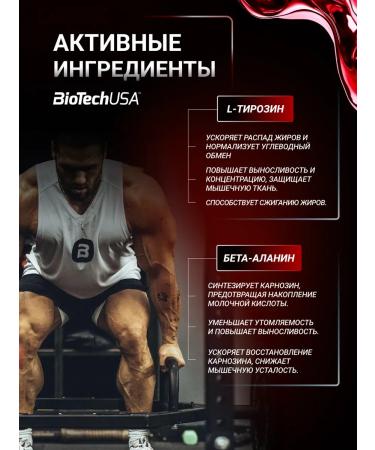 BioTechUSA Black Blood Nox 330 Blagodnoye - Buy Online on GoSupps.com