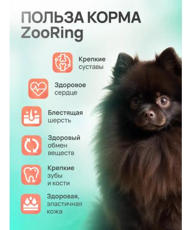 ZooRing Mini Dog Exigent vegetable vete with a pumpkin 0.7 kg - Buy Online on GoSupps.com