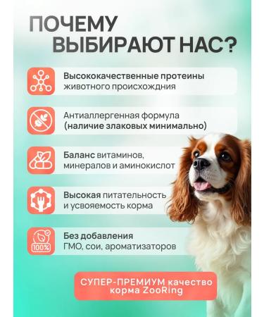 ZooRing Mini Dog Exigent vegetable veal with pumpkin 2 kg - Buy Online on GoSupps.com