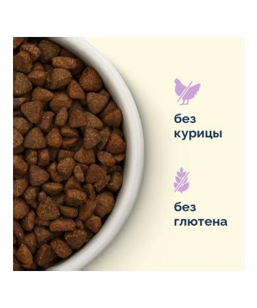 Advance Holistic Dry food for cats lambs turkey brown rice 0.4 kg - Buy Online on GoSupps.com
