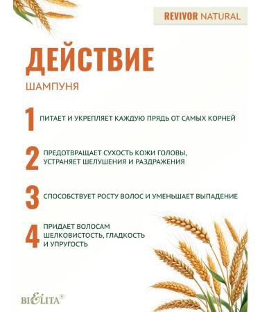 Belita Shampoo Revivor Hair Restoration - Buy Online on GoSupps.com