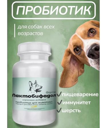 Probiotic for dogs lactobacilli improvement of gastrointestinal microflora