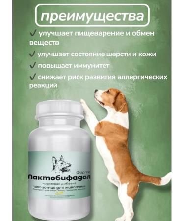 Probiotic for dogs lactobacilli improvement of gastrointestinal microflora - Buy Online on GoSupps.com