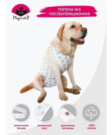 MOORLAND Popon postoperative for dogs of large breeds