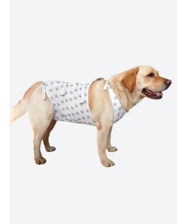 MOORLAND Popon postoperative for dogs of large breeds - Buy Online on GoSupps.com