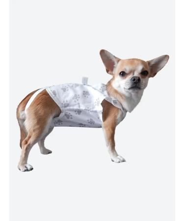 MOORLAND Popon postoperative for dogs of small breeds for puppies - Buy Online on GoSupps.com