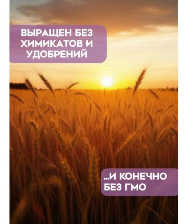 Oats for brewing and germinating 1 kg - Buy Online on GoSupps.com