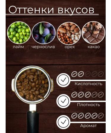 Velvet Brew Coffee Coffee in grains 500 gr Brazil Miyaki - Buy Online on GoSupps.com