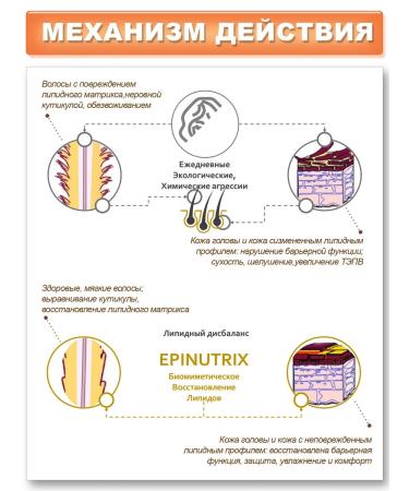 Made in home Epinutrix cosmetic asset (analogue 18 Mea) 100g - Buy Online on GoSupps.com