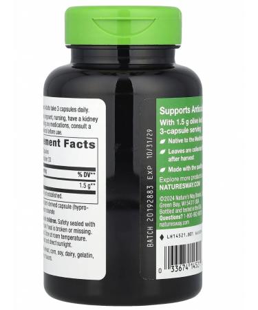 Carlson Olive leaf Olive Leaf - Buy Online on GoSupps.com