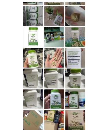 Carlson Olive leaf Olive Leaf - Buy Online on GoSupps.com