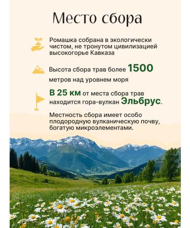 Ivantea workshop Vyshegorye Chamomile pharmacy flowers dried for tea - Buy Online on GoSupps.com