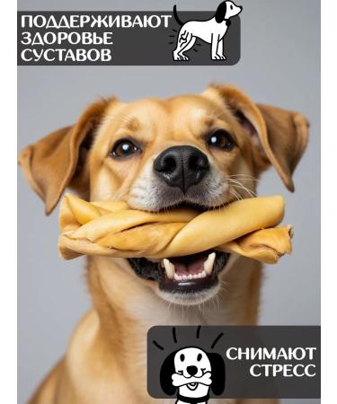 FOR RODENT DOG Dog delicities horse leather (pigtail) 10 cm 100 g - Buy Online on GoSupps.com