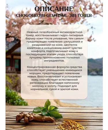 CHOGONGJIN Strengthening toner with ginseng extract 150 ml - Buy Online on GoSupps.com
