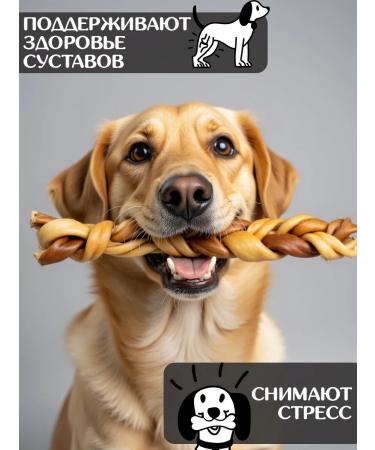 FOR RODENT DOG Dog delicacies lamb leather (pigtail) 30 cm 300 g - Buy Online on GoSupps.com