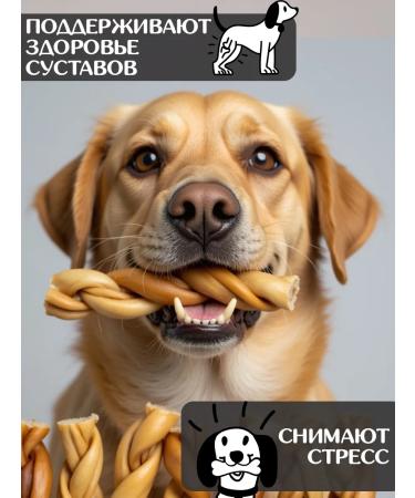 FOR RODENT DOG Dog's delicacies lamb leather (pigtail) 10 cm 1000 g - Buy Online on GoSupps.com