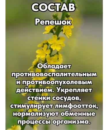 ALTAI NECTAR Phytocomplex restoring milk thistle for the liver - Buy Online on GoSupps.com