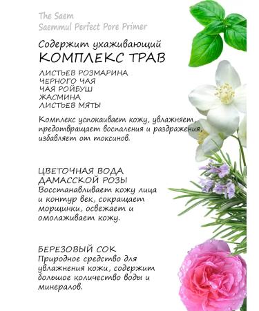 THE SAEM Primer (base for makeup) - Buy Online on GoSupps.com