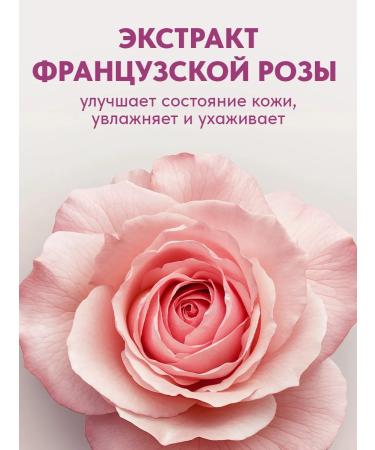 EDEN Cream-gel shower marakuya powder rose 2 x 300 ml - Buy Online on GoSupps.com