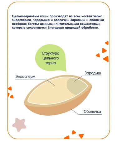 Fleur Alpine Porridge supposedly. Barley with cereals banana and yab 6+months 200*2 - Buy Online on GoSupps.com