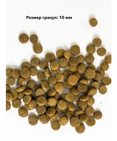 Rush Pet Food Dry food rush with a rabbit 900 g - Buy Online on GoSupps.com