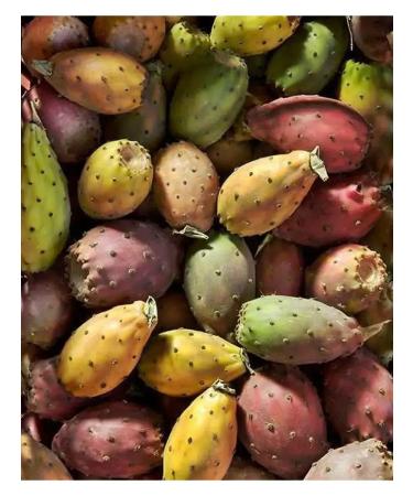 Organic hand cream with an extract of option cosmos 30 ml - Buy Online on GoSupps.com