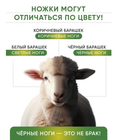 Lamb bone for dogs with a hoof 1 pc - Buy Online on GoSupps.com