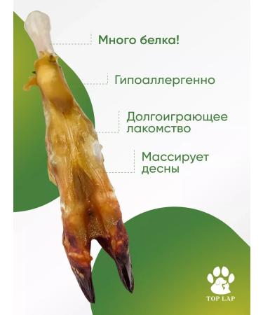 Lamb bone for dogs with a hoof 1 pc - Buy Online on GoSupps.com