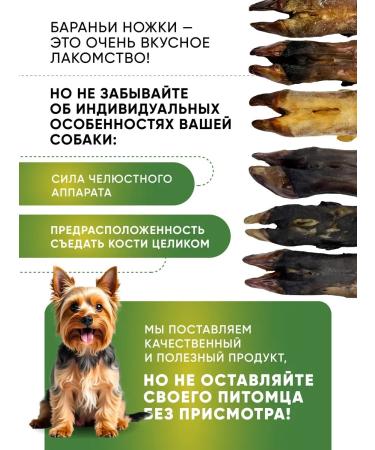 Lamb bone for dogs with a hoof 1 pc - Buy Online on GoSupps.com