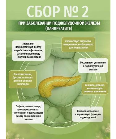 Herbs of the Caucasus Collection No. 2 for pancreatic disease - Buy Online on GoSupps.com