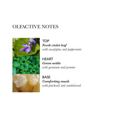 MOLTON BROWN Hair conditioner Volumising Conditioner with Nettle - Buy Online on GoSupps.com