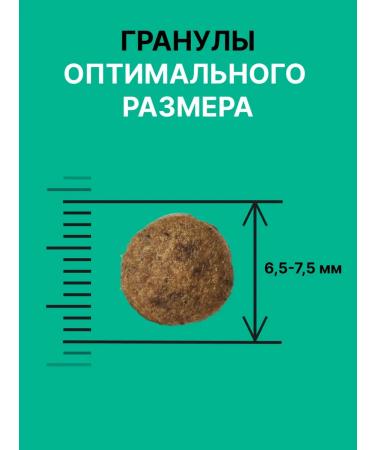 NERO GOLD super premium Feed for cats and kittens with turkey meat and vegetables 10 kg - Buy Online on GoSupps.com