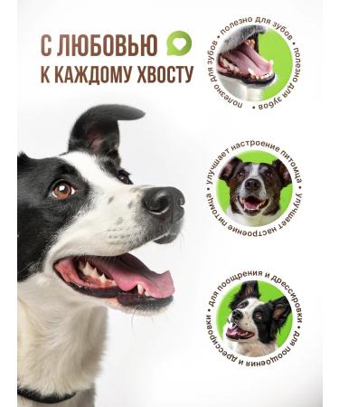 TiTBiT Titbit dog treats Treats for dogs set of delicious ones # 3 - Buy Online on GoSupps.com