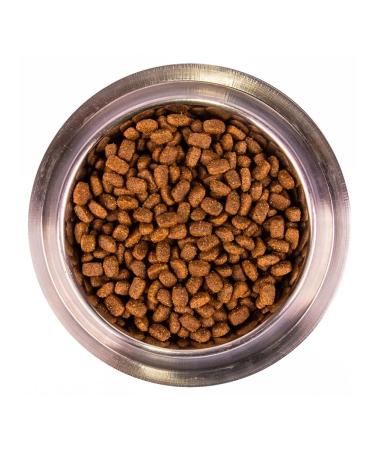 MONGE Mini Adult food for dogs of small breeds with chicken 7.5 kg - Buy Online on GoSupps.com