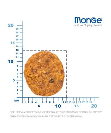 MONGE Dry food for adult cats with chicken 10 kg - Buy Online on GoSupps.com