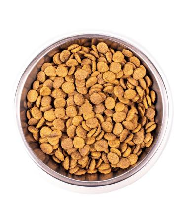 MONGE Dry food for adult cats with chicken 10 kg - Buy Online on GoSupps.com