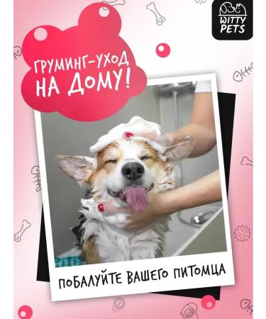 Supreme shampoo for dogs and cats - Buy Online on GoSupps.com