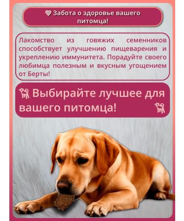 Berta's Treats Goodies beef seeds for dogs - Buy Online on GoSupps.com