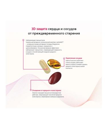 The power of Siberia is health Pulse Box Pulse Box - Buy Online on GoSupps.com