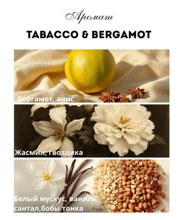 It's damp Moisturizing body tobacco & bergamot - Buy Online on GoSupps.com