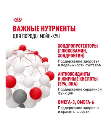 ROYAL CANIN Dry food for cats 4 kg + 4 kg - Buy Online on GoSupps.com