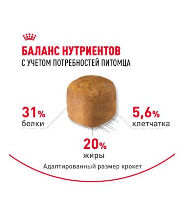 ROYAL CANIN Dry food for cats 4 kg + 4 kg - Buy Online on GoSupps.com