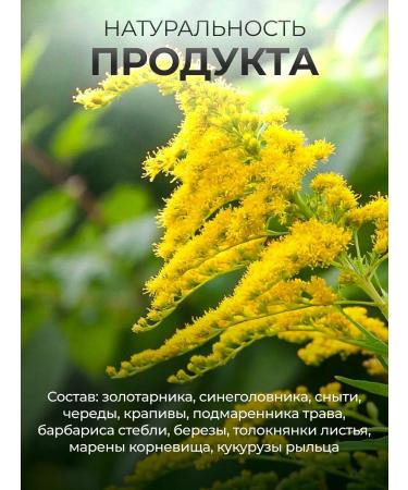bee lab Herbal gathering gout is not 50 g - Buy Online on GoSupps.com