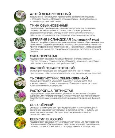 9 gastro with Altey Vitauct for the stomach and intestines - Buy Online on GoSupps.com