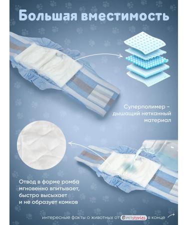 PETstories Denim disposable absorbent male belts s - Buy Online on GoSupps.com